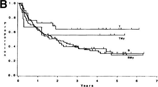 Fig. 1. (A) Survival for 250 adults with ALL according to expression of only B (n = 138) or T (n = 33) antigens or B + myeloid (n = 68) or T + myeloid (n = 11) antigens. There were no differences between the B and BMy patients (P = .84) and the T and TMy patients (P = .81). (B) DFS for 212 adults with ALL according to expression of only B (n = 121) or T (n = 29) antigens or B + myeloid (n = 53) or T + myeloid (n = 9) antigens. There were no differences between the B and BMy patients (P = .82), and the T and TMy patients (P = .53).