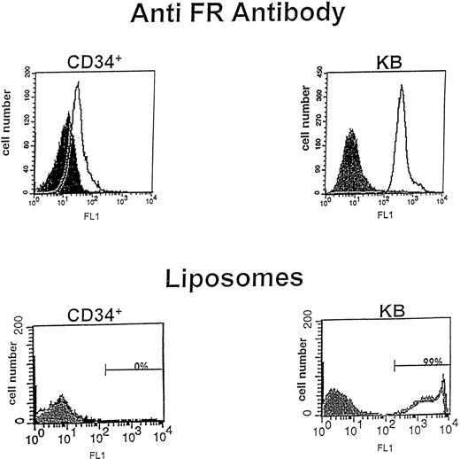 Fig. 1. Flow cytometric analysis for expression of the FR. (Top) CD34+ cells and KB cells were incubated with rabbit preimmune serum or rabbit polyclonal antibody to placental FR for 30 minutes, washed, and incubated with secondary antibody (goat anti-rabbit IgG-FITC) for 30 minutes to evaluate FR expression on each cell population. Cells were then analyzed by fluorescence flow cytometry, where log cell fluorescence is plotted on the x-axis and cell number on the y-axis. The filled peak corresponds to cells treated only with preimmune serum, while the open peak shows cells labeled with anti-FR IgG. The results indicate that both CD34+ cells and KB cells express FR on their cell surfaces. (Bottom) CD34+ cells and KB cells were incubated with FA-PEG-liposomes or PEG-liposomes containing calcein for 4 hours, washed, and analyzed by fluorescence flow cytometry. The filled peak represents PEG liposome staining and the open peak represents FA-PEG-liposome staining. For CD34+ cells, the peaks for FA-PEG-liposomes and PEG-liposomes overlay one another, showing no detectable binding to FR. In contrast, FA-PEG-liposomes bind well to KB cells.