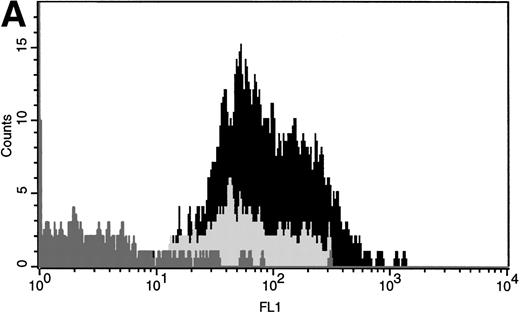 Fig. 4. Comparison of FR expression on multiple subpopulations of CD34+ cells. LDMNC were stained with anti–CD34-APC and either (A) anti–CD38-PE or (B) anti–CD15-PE (20 minutes at 4°C). After washing, the cells were incubated with either rabbit preimmune serum or anti-FR (30 minutes at 4°C), washed, and incubated with the secondary antibody, goat anti-rabbit-FITC (30 minutes at 4°C) before analyzing the cells by three-color fluorescence cytometry. (A) FR expression (FL1 on x-axis) after anti-FR staining is shown for CD34+CD38− (light gray) and CD34+CD38+ (black) cells. CD34+ cells that were incubated with preimmune serum are represented by the dark gray peak in both (A and B). These data indicate that a significant proportion of CD34+ cells express FR and that CD34+CD38+ cells have slightly higher levels of FR expression than CD34+CD38− cells. (B) FR expression levels on CD34+CD15− (black) and CD34+CD15+ (light gray) cells are shown on this histogram. The results show that the more differentiated CD34+CD15+ cells have an increased proportion that express FR. In addition, CD34+CD15+ cells are shifted to the right further than any other population evaluated, suggesting that these cells have an increased number of FR/cell.