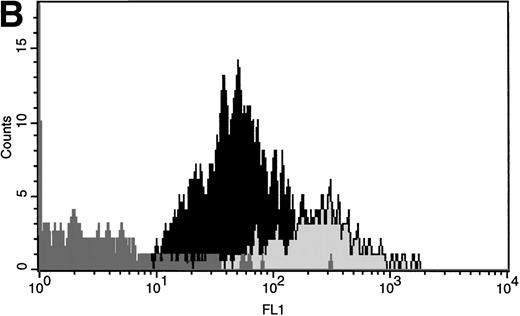 Fig. 4. Comparison of FR expression on multiple subpopulations of CD34+ cells. LDMNC were stained with anti–CD34-APC and either (A) anti–CD38-PE or (B) anti–CD15-PE (20 minutes at 4°C). After washing, the cells were incubated with either rabbit preimmune serum or anti-FR (30 minutes at 4°C), washed, and incubated with the secondary antibody, goat anti-rabbit-FITC (30 minutes at 4°C) before analyzing the cells by three-color fluorescence cytometry. (A) FR expression (FL1 on x-axis) after anti-FR staining is shown for CD34+CD38− (light gray) and CD34+CD38+ (black) cells. CD34+ cells that were incubated with preimmune serum are represented by the dark gray peak in both (A and B). These data indicate that a significant proportion of CD34+ cells express FR and that CD34+CD38+ cells have slightly higher levels of FR expression than CD34+CD38− cells. (B) FR expression levels on CD34+CD15− (black) and CD34+CD15+ (light gray) cells are shown on this histogram. The results show that the more differentiated CD34+CD15+ cells have an increased proportion that express FR. In addition, CD34+CD15+ cells are shifted to the right further than any other population evaluated, suggesting that these cells have an increased number of FR/cell.