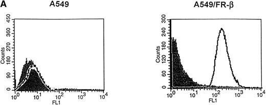 Fig. 6. Evaluation of the binding and endocytosis of3H-FA and FA-labeled bovine serum albumin by cultured cells lacking (A549) or expressing (A549/FR-β) the β isoform of the FR. (A) A549 cells, a human lung carcinoma cell line expressing no detectable FR, were transfected with the β isoform of FR (A549/β-FR) and examined by flow cytometry for expression of the β isoform, as described in Materials and Methods. The filled peaks correspond to cells treated only with preimmune serum, while the open peaks show cells labeled with anti-FR IgG. (B) Cells were incubated with 100 nmol/L 3H-FA for 2 hours at 37°C and then washed three times in PBS, pH 7.4, to remove unbound ligand (□) or three times in sodium acetate buffer, pH 3.5, to strip all externally bound ligand from the cells (▨). (C) Binding and endocytosis of 125I-labeled serum albumin (100 nmol/L) was conducted similarly, except to distinguish specific from nonspecific binding, uptake was also evaluated in the presence of a 10,000 times molar excess of free FA to competitively block all folate-specific sites (▩).