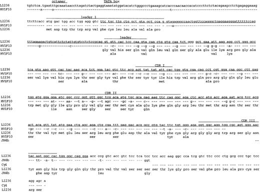 Fig. 6. Sequence of the VH1 gene rearrangement of L1236 cells including part of the promoter region, the leader intron, and part of the constant region. The sequence obtained from L1236 cells is compared with germline sequences for the corresponding VH, JH, and Cγ4 genes (HV1F10,33JH4b,34 and Cγ4; Chai et al, unpublished data; Genbank Accession No. L23566) -, sequence identity; ., nucleotide deletion. Aminoacid changes are indicated by the germline amino acids given below the amino acid sequence of L1236. Codons are numbered according to Kabat et al.35 Corresponding amino acids are shown below each codon. The leader region, CDRI, CDRII, and CDRIII are indicated. Sequence already published7 is underlined. The sequence of Cγ4 and JH4B was obtained from cDNA. Therefore, no sequence is provided for the intron between JH4B and Cγ4. The RNA is correctly spliced. This sequence is available from the EMBL database under accession no. AJ005570.