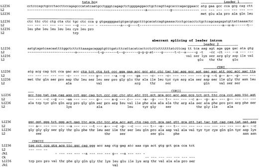 Fig. 7. Sequence of the Vκ3 gene rearrangement, including part of the promoter region, the leader intron, and part of the constant region. Sequence format is the same as in Fig 6. The sequence obtained from L1236 cells is compared with germline sequences for the corresponding Vκ, Jκ, and Cκ genes (L2,22Jκ1,23 and Cκ24). The aberrant splicing of the leader intron is indicated. The sequence of Jκ1 and Cκ was obtained from cDNA. Therefore, the intron sequence between Jκ1 and Cκ is not given. The Jκ gene is correctly spliced to the Cκ gene. This sequence is available from the EMBL database under accession no.AJ005571.