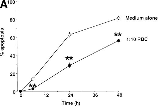 Fig. 1. Effect of RBCs on neutrophil apoptosis. Neutrophils were cultured for varying times (A) or 16 hours (B) in RPMI 1640 containing 5% FCS in the presence or absence of 1:10 to 1:1000 RBCs. Apoptotic cells were identified by morphology on light microscopy and % apoptosis was obtained from 300 counts per experiment. Data represents mean ± SEM of 6 experiments. ** P < .01 versus cells in the absence of RBCs.