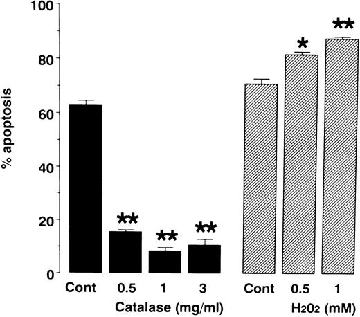Fig. 4. Effects of catalase and H2O2 on neutrophil apoptosis. Neutrophils were cultured for 24 hours in the presence or absence of catalase and H2O2. Apoptosis was evaluated as described in Fig 1. To avoid inactivation of H2O2 by serum, serum-free medium was used to assess the effect of H2O2 on neutrophil apoptosis. This probably reflects increased apoptosis in H2O2-untreated control cells (70.8% ± 2.0%) compared with apoptosis in catalase-untreated control cells (62.8% ± 1.7%). Data represents mean ± SEM of 4 experiments. * P < .05, ** P < .01 versus control cells in the absence of catalase or H2O2.