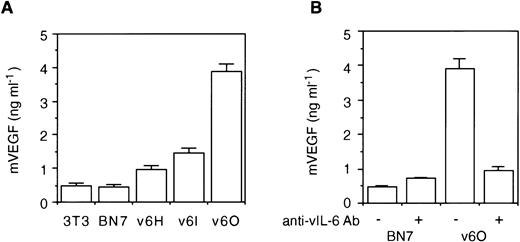 Fig. 4. vIL-6 induces VEGF secretion. (A) Detection of VEGF in the culture supernatant of parental NIH3T3 cells, vector control (BN7), and stable clones of vIL-6 transfectants (v6H, v6I, and v6O). (B) Effects of anti–vIL-6 Ab (10 μg/mL) on VEGF detection in the culture supernatant of v6O and BN7 cells. Data represent the mean (±SD) of triplicates in one representative experiment of three performed.