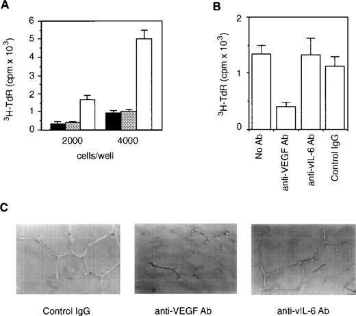 Fig. 6. Contribution of VEGF to endothelial cell proliferation and tube formation induced by vIL-6. (A) HUVECs (2 × 103or 4 × 103 cells/well) were cultured for 72 hours with conditioned medium (1:2 dilution) from NIH3T3 (▪), BN7 (▩), and v6O (□) cells. The results represent the mean (±SD) of triplicate cultures; shown is one representative experiment of three performed. (B) HUVECs were cultured (2 × 103 cells/well) for 72 hours with conditioned medium from v6O cells (1:2 dilution) alone or in conjunction with anti-VEGF Ab (2 μg/mL), anti–vIL-6 Ab (10 μg/mL), or control IgG (2 μg/mL). The results represent the mean (±SD) of triplicate cultures; shown is one representative experiment of three performed. (C) HUVECs (1 × 104) were plated on Matrigel-coated wells in conditioned medium from v6O cells (1:2 dilution) supplemented with control IgG (2 μg/mL), anti-VEGF Ab (2 μg/mL), or anti–vIL-6 Ab (10 μg/mL). Photographs depict the microtubules after 24 hours of incubation (original magnification × 100).