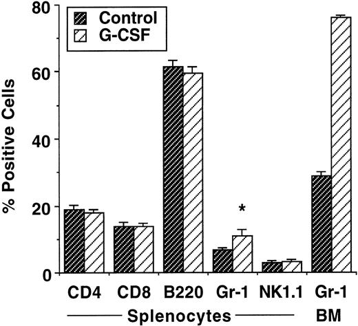 Fig. 1. Effect of G-CSF on granulocyte population and T-cell phenotype. B6 Ly-5a mice were injected with G-CSF (100 μg/kg/d) or saline for 6 days. BM (n = 15 per group) and splenocytes (n = 20 per group) were harvested the day after the last injection. After lysis of red blood cells, cells were stained with specific Abs and analyzed by FACS. The results represent the mean ± SD from nine experiments. *P < .001 v control mice.