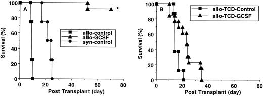 Fig. 5. Survival after leukemia induction (B6 Ly-5a→ B6D2F1). B6 Ly-5a donors were injected with or without G-CSF for 6 days. (A) Total body irradiated B6D2F1 mice received 1 × 107 splenocytes plus 5,000 p815 tumor cells from control B6 donors (n = 15), G-CSF–mobilized donors (n = 20), or control B6D2F1 donors (n = 13). *P < .001 vrecipients of splenocytes from control B6 donors and control B6D2F1 donors. (B) Total body irradiated B6D2F1 recipients were injected with 5 × 106 TCD-splenocytes plus 5,000 p815 tumor cells from control or G-CSF B6 donors (n = 8/group). Survival was monitored daily up to day 70 posttransplantation.
