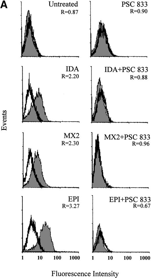 Fig. 2. (A) Upregulation of Pgp expression measured by flow cytometric analysis using MRK 16 binding (solid histogram) compared with an IgG2a control (open histogram) in Pgp-negative leukemic blasts obtained from a single patient after 16 hours of treatment with 20 ng/mL IDA, 50 ng/mL MX2, and 100 ng/mL EPI. The blasts were isolated from a patient with BT-CML. The inhibitory effect of 1 μmol/L PSC 833 on the upregulation of Pgp is also shown. Pgp levels were expressed as the ratio of the MCF of MRK 16 versus the IgG2a control as described in Materials and Methods. This ratio (R) is indicated in each case. (B) Flow cytometric analysis of Pgp function based on Rh123 accumulation in the absence (solid histogram) or presence of 2 μmol/L PSC 833 (open histogram) in blasts from the same patient treated as described in (A). Pgp function was expressed as the ratio of MCF in the presence or absence of 2 μmol/L PSC 833 as described in Materials and Methods. This ratio (R) is indicated in each case.