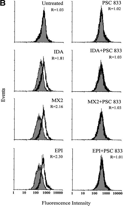 Fig. 2. (A) Upregulation of Pgp expression measured by flow cytometric analysis using MRK 16 binding (solid histogram) compared with an IgG2a control (open histogram) in Pgp-negative leukemic blasts obtained from a single patient after 16 hours of treatment with 20 ng/mL IDA, 50 ng/mL MX2, and 100 ng/mL EPI. The blasts were isolated from a patient with BT-CML. The inhibitory effect of 1 μmol/L PSC 833 on the upregulation of Pgp is also shown. Pgp levels were expressed as the ratio of the MCF of MRK 16 versus the IgG2a control as described in Materials and Methods. This ratio (R) is indicated in each case. (B) Flow cytometric analysis of Pgp function based on Rh123 accumulation in the absence (solid histogram) or presence of 2 μmol/L PSC 833 (open histogram) in blasts from the same patient treated as described in (A). Pgp function was expressed as the ratio of MCF in the presence or absence of 2 μmol/L PSC 833 as described in Materials and Methods. This ratio (R) is indicated in each case.