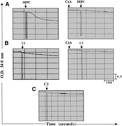 Fig. 6. C1 induces mitochondrial swelling via induction of the MPT pore, whereas C2 has no effect on the pore. Large amplitude mitochondrial swelling was determined spectroscopically by monitoring the loss of absorbance at 540 nm as described in Materials and Methods. Mitochondria (0.5 mg) were treated with (A) 200 μmol/L DEPC as a positive control to induce mitochondrial swelling or (B) C1 (100 μg) or (C) C2 (100 μg) in the absence or presence of MPT pore inhibitor CsA (10 μmol/L).