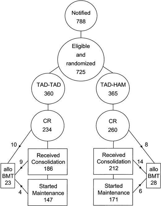 Fig. 1. Flow diagram showing evaluable patient numbers according to treatment arms and numbers of patients receiving the assigned treatment.