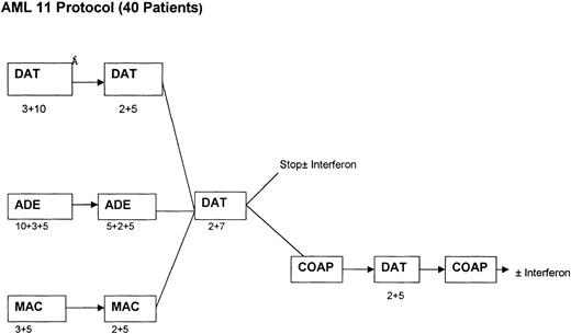 Fig. 1. Chemotherapy treatment protocols.