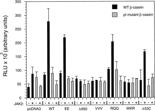 Fig. 4. The STAT5A/VVV and STAT5A/WKR mutants are defective in transcriptional activation. 293T cells were transfected with pcDNA3 vector alone, wild-type STAT5A (WT), or the indicated STAT5A mutant in the absence (−) or presence (+) of JAK2 and either wild-type (▪) or point mutant (▧) β-casein luciferase reporter. The transcriptional activation of the mutant or wild-type β-casein reporter was assessed by luciferase assay and expressed in relative light units (RLU). To control for variations in transfection efficiency, all samples were cotransfected with an hGH expression plasmid to allow normalization of RLU values to secreted levels of hGH, determined by radioimmunoassay. Error bars represent the standard error based on at least two independent experiments.