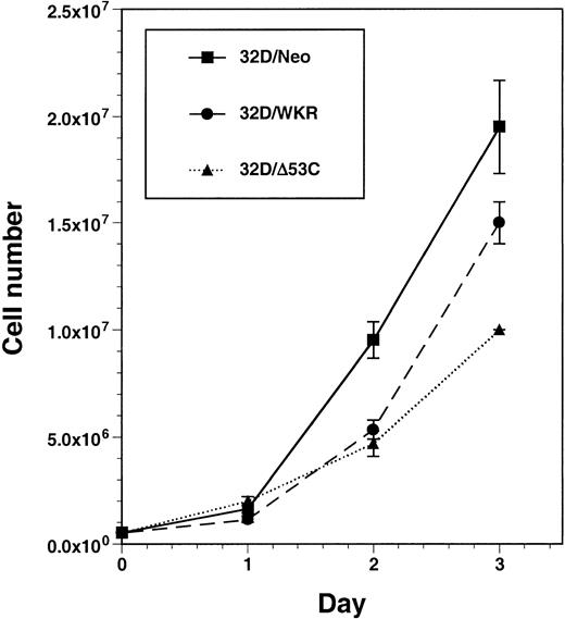 Fig. 7. Expression of either STAT5A/WKR or STAT5A/▵53C in 32D cells inhibits IL-3–dependent proliferation. 32D cells expressing the neomycin resistance gene alone (32D/Neo), STAT5A/WKR (32D/WKR), or STAT5A/▵53C (32D/▵53C) were grown in 10% WEHI-3B–conditioned medium without G418 and viable cell number was determined daily. Data points represent the average of at least two independent experiments performed in duplicate and error bars represent the calculated standard error. The day-2 cell number for 32D/Neo cells was significantly higher than that of either 32D/WKR or 32D/▵53C (P < .01,t-test).