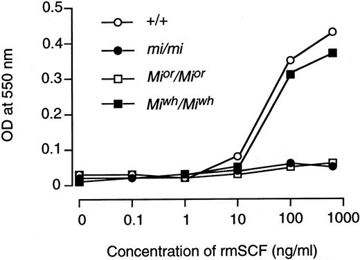 Fig. 4. Cellular response of +/+, mi/mi,Mior/Mior andMiwh/Miwh CMCs at various concentrations of rmSCF was measured with means of MTT colorimetric assay. Three independent experiments were performed with comparable results, and the result of a representative experiment is shown. Each point represents the mean of triplicate samples.