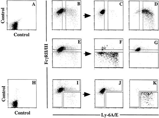 Fig. 3. Flow cytometric analyses of Ly-6A/E and FcγRII/III expression by pooled primary colony cells. (A and H) Isotype control. (B) Expression of Ly-6A/E and FcγRII/III by pooled primary colony cells and sorting windows for Ly-6A/E− and Ly-6A/E+ cells. (C) Sorted Ly-6A/E− cells. (D) Sorted Ly-6A/E + cells. (E) Expression of Ly-6A/E and FcγRII/III by pooled primary colony cells and sorting windows for FcγRII/ III−/low and FcγRII/IIIhigh cells. (F) Sorted FcγRII/III−/low cells. (G) Sorted FcγRII/IIIhigh cells. (I) Expression of Ly-6A/E and FcγRII/III by pooled primary colony cells and sorting windows for Ly-6A/E+ FcγRII/III−/low cells and the rest of the cells. (J and K) Sorted cells using the windows presented in (I).