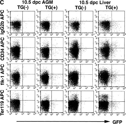 Fig. 8. GFP-positive cells show cell surface markers characteristic to hematopoietic progenitors. The 7.0ISGFP transgenic mouse embryos (line 398) were analyzed. Yolk sac from 10.5 dpc embryos (A), AGM regions from 10.5 dpc embryos (B and C), and liver rudiments from 10.5 and 11.0 dpc embryos (B and C) were dissected, and single-cell suspensions from the tissues were analyzed by FACS directly (A) or after staining with monoclonal antibodies (B and C). PE-conjugated anti-Sca1, anti-CD45, and anti–c-kit antibodies (B), and biotin-conjugated anti-CD34, anti–flk-1, and anti-Ter119 antibodies and streptoavidine-APC were used (C). IgG2b antibody was used as a control.