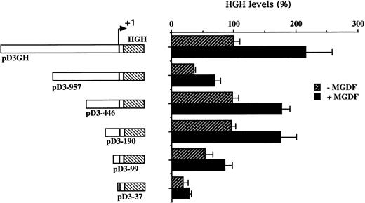 Fig. 2. Cyclin D3 promoter activity is induced by Mpl ligand. A series of 5′-deletions of the cyclin D3 promoter linked to the HGH reporter gene was stably transfected into Y10 cells, which were subsequently cultured in the absence or presence of MGDF as detailed in Materials and Methods. Schematic representation of respective reporter gene constructs is shown adjacent to the presentation of the corresponding HGH levels. The constructs are designated by numbers corresponding to the length of cyclin D3 sequences upstream of the transcriptional start site. The HGH level produced by cells transfected with pD3GH and cultured in the absence of MGDF was designated as 100%. All experiments were normalized for transfection efficiency by cotransfection with pCMVβ-galactosidase, as described in Materials and Methods. The data are the means of four determinations, with standard deviations indicated by the error bars.
