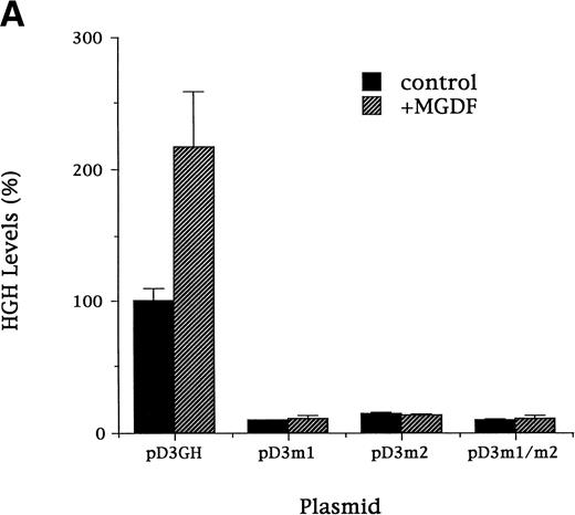 Fig. 6. (A). Mutation of Sp1 sites decreases activation of the cyclin D3 promoter. Three mutation constructs were made in the context of the full promoter (pD3GH) as follows: pD3-m1, pD3-m2, and pD3-m1/m2, which contain mutations in the Sp1 site at −64 to −72, at −121 to −129, or in both Sp1 sites, respectively. The nucleotides mutated in each Sp1 site are as described in the legend to Fig 5. The mutation constructs were transfected into Y10 cells, which were then cultured in the presence or absence of MGDF and assayed for HGH production, as detailed in Materials and Methods. All experiments were normalized for transfection efficiency by cotransfection with pCMVβ-galactosidase, as described in Materials and Methods. The data are the means of four determinations with standard deviations indicated by the error bars. (B) Sp1 binding-ability, cylin D3 promoter activity, and cyclin D3 levels in cells cultured with MGDF for different times. Sp1 binding ability to the fragment –190/−99 of the cyclin D3 promoter was determined by EMSA, as in Fig 5. Cyclin D3 promoter activity (pD3GH) and cyclin D3 protein level were determined as in Figs 2 and 1, respectively. The data shown are of a representative experiment out of two performed. The intensities of the bands (in EMSA and Western blots) were quantitated using the Electrophoresis Documentation and Analysis System.