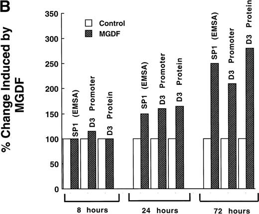 Fig. 6. (A). Mutation of Sp1 sites decreases activation of the cyclin D3 promoter. Three mutation constructs were made in the context of the full promoter (pD3GH) as follows: pD3-m1, pD3-m2, and pD3-m1/m2, which contain mutations in the Sp1 site at −64 to −72, at −121 to −129, or in both Sp1 sites, respectively. The nucleotides mutated in each Sp1 site are as described in the legend to Fig 5. The mutation constructs were transfected into Y10 cells, which were then cultured in the presence or absence of MGDF and assayed for HGH production, as detailed in Materials and Methods. All experiments were normalized for transfection efficiency by cotransfection with pCMVβ-galactosidase, as described in Materials and Methods. The data are the means of four determinations with standard deviations indicated by the error bars. (B) Sp1 binding-ability, cylin D3 promoter activity, and cyclin D3 levels in cells cultured with MGDF for different times. Sp1 binding ability to the fragment –190/−99 of the cyclin D3 promoter was determined by EMSA, as in Fig 5. Cyclin D3 promoter activity (pD3GH) and cyclin D3 protein level were determined as in Figs 2 and 1, respectively. The data shown are of a representative experiment out of two performed. The intensities of the bands (in EMSA and Western blots) were quantitated using the Electrophoresis Documentation and Analysis System.