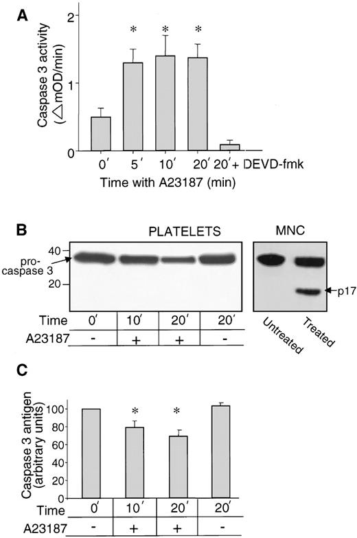 Fig. 1. Detection of caspase-3 in resting and activated platelets. (A) Caspase-3–like peptidase activity (cleavage of DEVD-pNA) of Triton X-100 lysates of resting platelets (0 time point) and platelets activated by A23187. Data shown are the mean ± SEM (n = 5). Peptidase activity was significantly increased relative to resting platelets after 5, 10, and 20 minutes with A23187 (*P < .01). In the sample 20 min + DEVD, the inhibitor DEVD-fmk was present during platelet activation and peptidase assay. (B) Caspase-3 antigen detected by immunoblot. Resting platelets and platelets activated with A23187 for 10, or 20 minutes were stained with caspase-3–specific MoAb C31720. Molecular weight marker positions are shown on the left and an arrow indicates 32-kD procaspase-3. The lanes MNC (mononuclear cell lysates treated without and with granzyme B) control for the ability to detect active caspase-3, the large subunit of which (p17) is indicated by the arrow on the right. (C). Procaspase-3 antigen quantified by immunoblots. Data shown are the mean ± SEM (n = 4). Platelet content of procaspase-3 antigen was significantly decreased relative to resting platelets after 10 (*P < .02) and 20 minutes (*P <.003) with A23187.