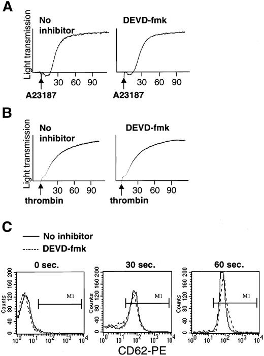 Fig. 4. Pretreatment of platelets with DEVD-fmk (100 μmol/L for 1 hour) does not alter agonist-induced platelet aggregation or granule secretion. (A and B) Absence of effect of DEVD-fmk on platelet aggregation induced by (A) A23187 (1 μmol/L) or (B) thrombin (1 U/mL). (C) Absence of effect of DEVD-fmk on thrombin-induced granule secretion. The histograms show surface expression of the granule membrane marker CD62P, which is absent on resting platelets (left) and upregulated on treatment with thrombin for 30 seconds (middle) or 60 seconds (right). Note that DEVD-fmk pretreatment (dashed lines) did not alter thrombin-induced upregulation of CD62P.