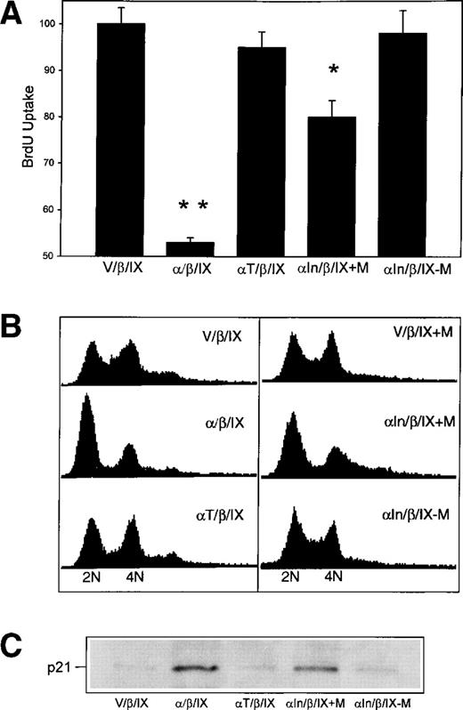 Fig. 5. The expression of GpIb causes p21-dependent G1 growth arrest. CHO /β/IX cells growing on vWF were serum deprived for 24 hours and then serum repleted for 20 hours, at which time BrdU incorporation and DNA content were determined. Identical measurements were made in CHO In/β/IX treated with muristerone. (A) shows that serum repletion of stable transfectants or the induced expression of GpIb inhibits BrdU incorporation and that this is reversed by the truncation of GpIb at amino acid 540 of the cytoplasmic domain. (B) shows that these cells are arrested in G1 and that G1 arrest is eliminated in cells transduced with the truncated cDNA for GpIb. (C) shows associated levels of immunoreactive p21 (n = 2). (**P< .0001 compared with V/β/IX; *P < .001 compared with V/β/IX; n = 3.)