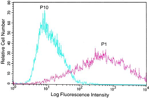 Fig. 1. Cells expressing GpIb are selected against during routine passage. Expression of GpIb (reported by flow cytometry fluorescence with FITC-conjugated anti-GpIb antibody AN51) was identified immediately after antibiotic and immunomagnetic bead selection (passage 1), but this decreased progressively with each cell passage to the point that, after the tenth passage, no expression was detectable (passage 10).