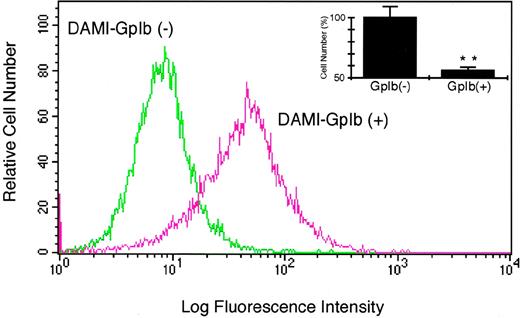 Fig. 8. Endogenous GpIb regulates the growth of hematopoietic cells. DAMI cells expressing GpIb were first isolated by affinity purification with solid-phase vWF and then selected by repeated rounds of fluorescence-activated cell sorting with the anti-GpIb antibody AN51. After selection, a population of cells designated DAMI GpIb (+) stains brighter with FITC-conjugated AN51. The inset shows that, when cells are counted 4 days after replating, DAMI GpIb (+) cell number is significantly decreased compared with DAMI GpIb (−) cells. (**P < .0001 compared with DAMI cells not expressing GpIb; n = 3.)