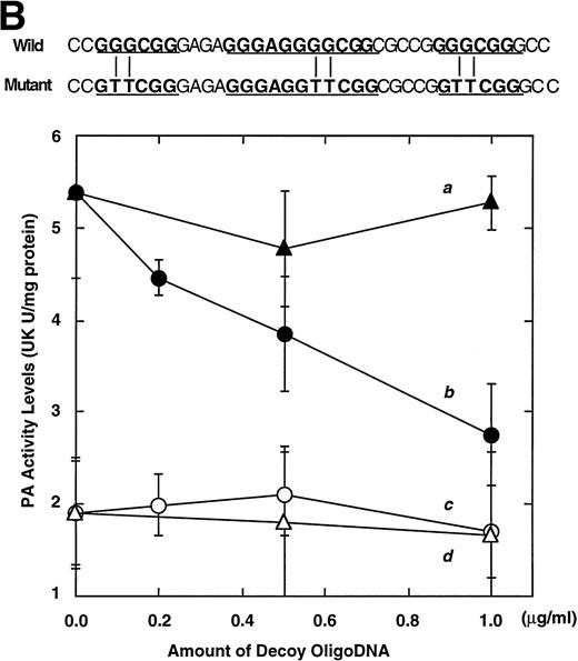 Fig. 4. Involvement of Sp1 in RA induction of uPA. (A) Promoter assay. Transfection study was performed as described before using wild-type pUK-luciferase (pUK-Luc, samples 1 through 3), pUK GC box-luciferase (pUK GC-Luc, samples 4 through 6), and pUK-luciferase deficient in GC box (pUK ▵GC-Luc, samples 7 through 9). Data are expressed as the relative luciferase activity compared with the activity of pUK-Luc cotransfected with empty pSG5 and untreated with 9cRA (sample 1). Samples 1, 4, and 7, reporter only; samples 2, 5, and 8, RAR and RXR; samples 3, 6, and 9, RAR and RXR + 9cRA. (B) Transcription factor decoy experiments. After BAECs were transfected with various amounts of Sp1 decoy or its mutant, whose sequences are presented above the illustration, the cultures were incubated either with vehicle or with 1 μmol/L atRA for 12 hours, cell lysates were prepared, and cellular PA levels were determined. Curves a and b, RA-treated cells; curves c and d, unstimulated cells. Curves a and d, mutant oligo; curves b and c, Sp1 decoy. (C) Cellular PA levels were determined after treatment of BAEC cultures with various concentrations of atRA for 12 hours in the absence (curve a) or presence (curve b) of 10 nmol/L mithramycin. For (A) through (C), the results are presented by the average ± SD (n = 3). Each similar experiment was repeated three times and representative results are shown here. (D) After treatment of BAECs with 1 μmol/L atRA for 12 hours in the absence (lane 1) or presence (lane 2) of 10 nmol/L mithramycin, nuclear extracts were prepared and Sp1 binding to uPA GC box was determined by gel shift assays as described in Materials and Methods.