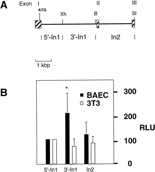 Fig. 1. Partial structure and functional analysis of the mouseFlk-1 locus. (A) Restriction enzyme map of the region encompassing the first three exons (represented by shaded boxes). Subfragments containing parts of intron 1 or intron 2 are indicated. Abbreviations for restriction enzymes are: B, BamHI, Xh,XhoI, Sl, SalI. (B) β-galactosidase reporter gene assays of various constructs after transient transfection of BAE cells. The intron fragments were tested in combination with a 4.4 kbpFlk-1 promoter fragment spanning the region from −4.1 kbp to +299 bp of the Flk-1 gene. NIH 3T3 cells were used as a reference for nonendothelial cells. Values significantly above (P < .003, Student’s t-test) 100 RLU are marked with an asterisk.