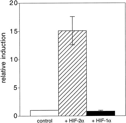 Fig. 6. HIF-2 stimulates Flk-1 gene expression. A293 cells were cotransfected with a reporter gene construct containingFlk-1 promoter sequences from −640 bp to +299 bp and with expression vectors encoding the murine HIF-1 or HIF-2 cDNAs, respectively. Relative promoter activities were determined as described in the Materials and Methods section. The promoter activity of the control transfection was arbitrarily set to 1.