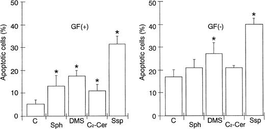 Fig. 3. Induction of HUVEC apoptosis by various sphingolipids and staurosporine. HUVECs were treated without (C) or with 20 μmol/L Sph, DMS, or C2-Cer or 1 μmol/L staurosporine (Ssp) for 4 hours in the presence (left panel) or absence (right panel) of growth factors. Apoptotic cells were detected using Hoechst 33258 staining and visualized with fluorescence microscopy. Results were expressed as the percentage of apoptotic cells (apoptotic cells/total cells × 100). Columns and error bars represent the mean ± SD (n = 3). *Statistically significant (t-test, P < .05) compared with the control cells (without treatment).