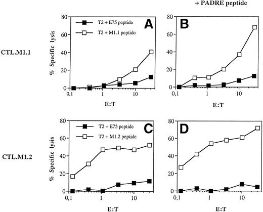Fig. 1. Induction of CTL responses by peptide-pulsed DC. Adherent PBMNC were grown for 7 days in RP10 medium supplemented with GM-CSF, IL-4, and TNF-. DC pulsed with the synthetic peptides derived from the MUC1 protein (M1.1 and M1.2) were used to induce a CTL response in vitro. In addition to the MUC1 peptide DC were incubated with the Pan-DR binding peptide PADRE as a T-helper epitope. Cytotoxic activity of induced CTL was determined in a standard 51Cr-release assay using T2 cells as targets pulsed for 2 hours with 50 μg of the cognate (open symbols) or irrelevant Her-2/neu protein-derived E75 peptide (solid symbols).