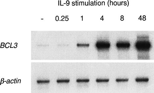 Fig. 2. Kinetics of BCL3 upregulation by IL-9. BW5147 cells were cultured in the absence or in the presence of 100 U/mL IL-9 for the indicated periods of time. Total RNA was extracted and RT-PCR amplification was performed with oligonucleotides specific forBCL3 or β-actin. A Southern blot of the PCR products was performed and filters were hybridized with the BCL3 orβ-actin cDNA probes.
