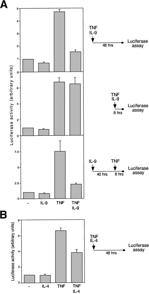 Fig. 6. IL-9 and IL-4 repress TNF-induced NF-κB–dependent transcription. (A) BW5147 cells were transfected with the pGL3-TK-κBPD plasmid and pRL-TK as an internal control and were stimulated with IL-9 (100 U/mL) or TNF (10 ng/mL) or were left unstimulated. In the upper panel, cells were cultured with or without cytokines for 48 hours before luciferase assay. In the middle panel, cells were stimulated only for 8 hours. In the bottom panel, cells were incubated or not incubated with IL-9 for 48 hours, and TNF was added for the last 8 hours before luciferase assay. The results are expressed as arbitrary units of luciferase activity, with 1 U being defined as the luciferase activity in unstimulated cells. (B) BW5147 cells were transfected with pGL3-TK-κBPD plasmid and pRL-TK as an internal control and stimulated with IL-4 (500 U/mL) with or without TNF (10 ng/mL) or were left unstimulated. Luciferase was monitored after 48 hours.