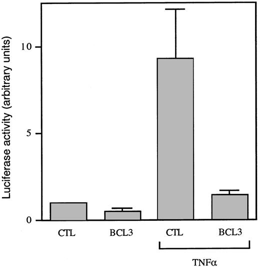 Fig. 7. BCL3 represses TNF-induced NF-κB–dependent transcription. COS cells were transiently transfected with pGL3-TK-κBPD, pRL-TK and either the BCL3 cDNA in the pEF-BOS plasmid or the empty vector. After 24 hours, cells were stimulated or not stimulated with TNF (10 ng/mL). Luciferase activities were monitored 8 hours later. The results correspond to the mean ± SD of 4 individual transfections and are expressed as arbitrary units of luciferase activity, with 1 U being defined as the luciferase activity in unstimulated cells.