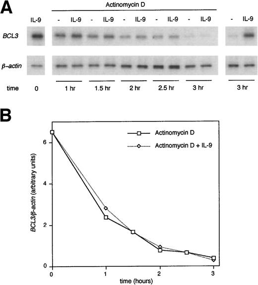 Fig. 8. BCL3 upregulation by IL-9 is dependent on RNA transcription. BW5147 cells were preincubated with 100 U/mL IL-9 for 24 hours, extensively washed, and restimulated for 1, 1.5, 2, 2.5, and 3 hours with or without IL-9 and actinomycin D (5 μg/mL) as indicated in the figure. Total RNA was extracted and RT-PCR amplification was performed with oligonucleotides specific for BCL3 orβ-actin. A Southern blot of the PCR products was performed and filters were hybridized with a BCL3 or β-actinoligonucleotide. (A) shows the autoradiography of the blot. (B) shows the intensity of the BCL3 signals from the same blot quantified by PhosphorImager analysis and standardized to theβ-actin level.