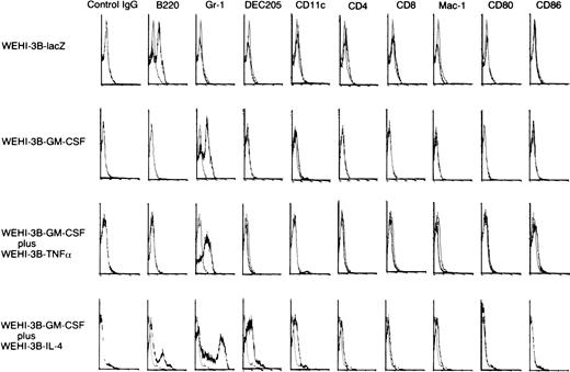 Fig. 3. Analysis of immune cell phenotypes of BMMNCs in mice injected with WEHI-3B cells expressing exogenous cytokines. BALB/c mice were injected with irradiated WEHI-3B–lacZ, WEHI-3B–GM-CSF, WEHI-3B–GM-CSF plus WEHI-3B–TNF, or WEHI-3B–GM-CSF plus WEHI-3B–IL-4 cells. Seven days later, immune cell phenotypes were assayed by flow cytometry.