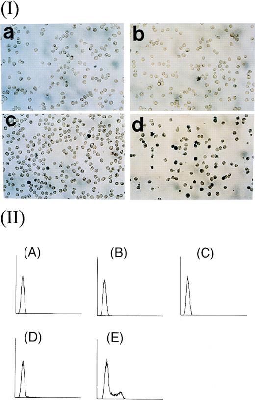 Fig. 2. Efficiency of transduction of recombinant adenoviruses into WEHI-3B cells. (Panel I) β-gal staining of cells transduced with virus at moi of (a) 4, (b) 40, (c) 400, and (d) 4,000. (Panel II) Flow cytometric analysis of fluorescein-stained cells transduced with virus at moi of (A) 0, (B) 4, (C) 40, (D) 400, and (E) 4,000 and exposed to 20 mmol/L fluorescein di-β-D-galactopyranoside (FDG) at 37°C for 1 hour. The rate of transduction of cells at each moi was (A) 0.38%, (B) 0.55%, (C) 1.20%, (D) 3.74%, and (E) 29.69%.