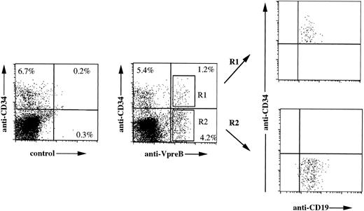 Fig. 4. Three-color immunofluorescence analysis of normal bone marrow cells shows cell surface expression of ΨL on both the proB and preB compartments. Fetal bone marrow lymphoid cells were incubated with PerCP-labeled anti-CD34, FITC-labeled anti-CD19, and PE-labeled anti-VpreB 4G7 or PE-labeled irrelevant γ1 control MoAbs. Both the CD34+VpreB+ (R1) and the CD34−VpreB+ (R2) cells were CD19+, identifying proB- and preB-cell compartments, respectively.