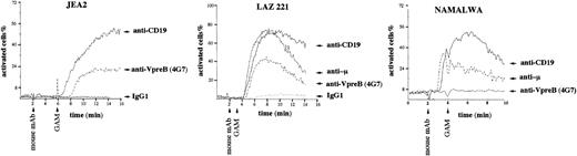 Fig. 9. Transduction ability of the proB-cell surface complex as compared with that of the preB- and B-cell receptor. The proB (JEA2), preB (LAZ 221), and B (Namalwa) cells were loaded with Indo-1 as described in Materials and Methods. Anti-VpreB 4G7 (30 μg/mL), anti-CD19 (30 μg/mL), anti-μ (30 μg/mL), or irrelevant IgG1 (30 μg/mL) MoAbs were added and cross-linked by a goat antimouse IgG+IgM (H+L) at the times indicated by arrows. Fluorescence variation of indo-1 was measured by FACstar and the percentage of activated cells was determined by the MultiTime software (Phoenix Flow Systems, San Diego, CA).