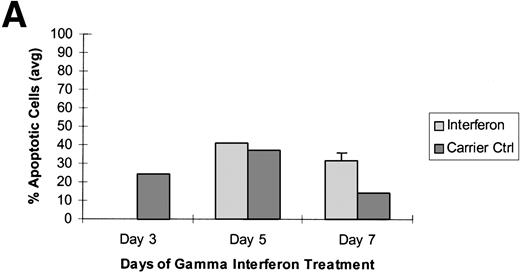 Fig. 3. Raji cells were treated with 5-aza-2′-deoxycytidine in 3 experiments to demethylate the DAP-Kinase CpG island and then exposed to γ interferon. (A) Raji cell apoptosis. Raji cells were treated with 1 μmol/L 5-aza-2′-deoxycytidine for 5 days and then with 1,000 U/mL γ interferon for 7 days. Cells were analyzed for apoptosis on days 3, 5, and 7 of γ inteferon or carrier control treatment. By day 7, Raji cells exposed to γ interferon were undergoing more apoptosis than Raji cells exposed only to carrier control. (B) Raji cell apoptosis. Raji cells were treated with 0.5 μmol/L 5-aza-2′-deoxycytidine for 5 days and then with 1,000 U/mL γ interferon for 7 days. Cells were analyzed for apoptosis on days 3, 5, and 7 of γ inteferon or carrier control treatment. By day 7, Raji cells exposed to γ interferon were undergoing more apoptosis than Raji cells exposed only to carrier control. (C) Raji cell apoptosis. Raji cells were treated with 0.5 μmol/L 5-aza-2′-deoxycytidine for 2 days and then with 1,000 U/mL γ interferon for 7 days. Cells were analyzed for apoptosis on days 3, 5, and 7 of γ inteferon or carrier control treatment. By day 5, a trend had developed in which Raji cells exposed to γ interferon underwent more apoptosis than those exposed with carrier control alone.