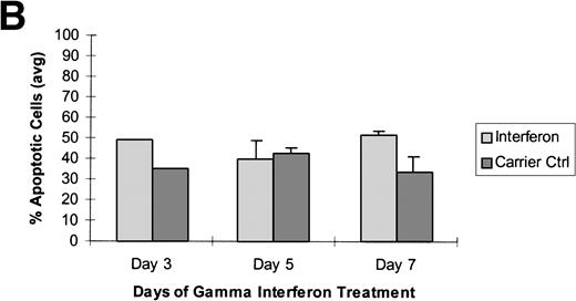 Fig. 3. Raji cells were treated with 5-aza-2′-deoxycytidine in 3 experiments to demethylate the DAP-Kinase CpG island and then exposed to γ interferon. (A) Raji cell apoptosis. Raji cells were treated with 1 μmol/L 5-aza-2′-deoxycytidine for 5 days and then with 1,000 U/mL γ interferon for 7 days. Cells were analyzed for apoptosis on days 3, 5, and 7 of γ inteferon or carrier control treatment. By day 7, Raji cells exposed to γ interferon were undergoing more apoptosis than Raji cells exposed only to carrier control. (B) Raji cell apoptosis. Raji cells were treated with 0.5 μmol/L 5-aza-2′-deoxycytidine for 5 days and then with 1,000 U/mL γ interferon for 7 days. Cells were analyzed for apoptosis on days 3, 5, and 7 of γ inteferon or carrier control treatment. By day 7, Raji cells exposed to γ interferon were undergoing more apoptosis than Raji cells exposed only to carrier control. (C) Raji cell apoptosis. Raji cells were treated with 0.5 μmol/L 5-aza-2′-deoxycytidine for 2 days and then with 1,000 U/mL γ interferon for 7 days. Cells were analyzed for apoptosis on days 3, 5, and 7 of γ inteferon or carrier control treatment. By day 5, a trend had developed in which Raji cells exposed to γ interferon underwent more apoptosis than those exposed with carrier control alone.