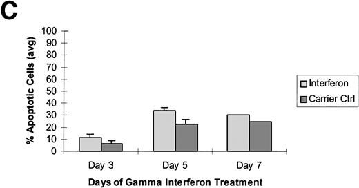 Fig. 3. Raji cells were treated with 5-aza-2′-deoxycytidine in 3 experiments to demethylate the DAP-Kinase CpG island and then exposed to γ interferon. (A) Raji cell apoptosis. Raji cells were treated with 1 μmol/L 5-aza-2′-deoxycytidine for 5 days and then with 1,000 U/mL γ interferon for 7 days. Cells were analyzed for apoptosis on days 3, 5, and 7 of γ inteferon or carrier control treatment. By day 7, Raji cells exposed to γ interferon were undergoing more apoptosis than Raji cells exposed only to carrier control. (B) Raji cell apoptosis. Raji cells were treated with 0.5 μmol/L 5-aza-2′-deoxycytidine for 5 days and then with 1,000 U/mL γ interferon for 7 days. Cells were analyzed for apoptosis on days 3, 5, and 7 of γ inteferon or carrier control treatment. By day 7, Raji cells exposed to γ interferon were undergoing more apoptosis than Raji cells exposed only to carrier control. (C) Raji cell apoptosis. Raji cells were treated with 0.5 μmol/L 5-aza-2′-deoxycytidine for 2 days and then with 1,000 U/mL γ interferon for 7 days. Cells were analyzed for apoptosis on days 3, 5, and 7 of γ inteferon or carrier control treatment. By day 5, a trend had developed in which Raji cells exposed to γ interferon underwent more apoptosis than those exposed with carrier control alone.