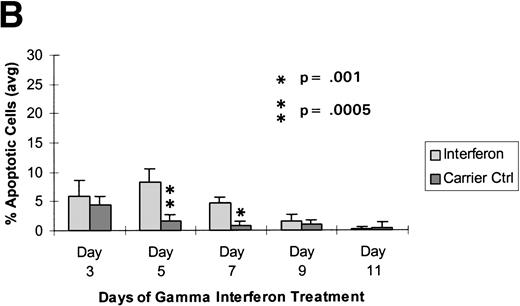Fig. 4. Raji cells were treated with 0.3 μmol/L 5-aza-2′-deoxycytidine for 9 days to demethylate the DAP-Kinase CpG island, placed in normal media for 7 days, and then treated with 1,000 U/mL γ interferon for 11 days. (A) MSP of DAP-Kinase in Raji cells. The methylation status of the DAP-Kinase CpG island was checked on days 0, 2, 5, and 9 of 5-aza-2′-deoxycytidine treatment (D0-9-A) and then after the combined 7 days of normal media and either 11 days of γ interferon (D11-γ) or carrier control (D11-C) media. (B) Raji cell apoptosis. By days 5 and 7, Raji cells exposed to γ interferon underwent significantly more apoptosis than those exposed with carrier control alone (P= .0005 and P = .001, respectively). By days 9 and 11, Raji cells were losing their unmethylated copies of DAP-Kinase and also their sensitivity to γ interferon treatment.