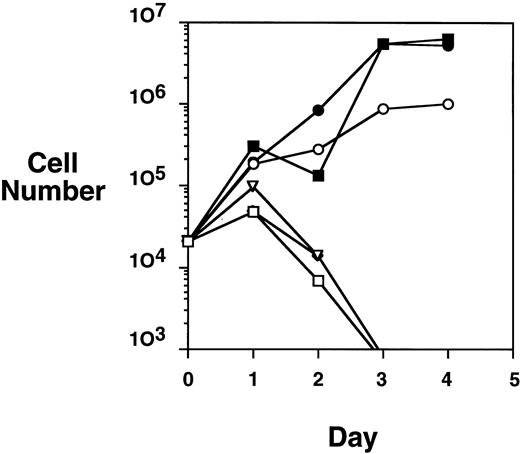 Fig. 4. TEL-Jak2 JH1 transforms Ba/F3 cells to factor-independence. Ba/F3 cells (5 × 104 cells) expressing various TEL-Jak2 constructs were incubated in the presence or absence of 100 pg/mL IL-3 for 4 days. Viable cells were enumerated by Trypan blue exclusion. (□) Ba/F3, no IL-3; (▪) Ba/F3, plus IL-3; (○) Ba/F3-HA-TEL-Jak2 JH1 subclone 36, no IL-3; (•) Ba/F3-HA-TEL-Jak2 JH1 subclone 36, plus IL-3; (▵) Ba/F3-HA-TEL-Jak2 JH2 subclone 4, no IL-3; (◊) Ba/F3-HA-TEL-KI-Jak2 subclone 11, no IL-3. The IL-3–dependent growth of Ba/F3-TEL-Jak2 JH2 and Ba/F3-TEL-KI-Jak2 JH1 was exactly similar to that of Ba/F3 cells and has been omitted for clarity.