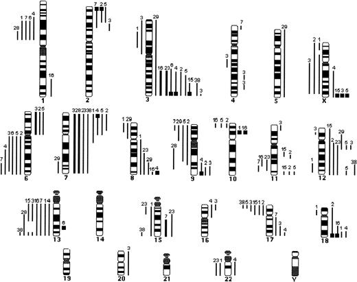 Fig. 2. Summary of the CGH data in 13 cases of blastoid MCL. Lines on the left side of the ideogram indicate loss of chromosomal material; lines on the right side indicate gain of chromosomal material. Thick black bars represent chromosomal gains exceeding 1.5 in a large chromosomal region. High-level DNA amplifications are represented as solid squares. Each line represents a gained or lost region in a single tumor.
